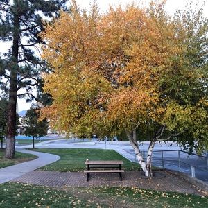 Meet your Posher, Sani